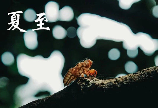 夏至